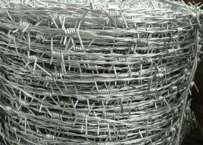 Κίνα 16x16 Razor Barbed Wire Reverse Twist Hot Dipped Galvanized προς πώληση