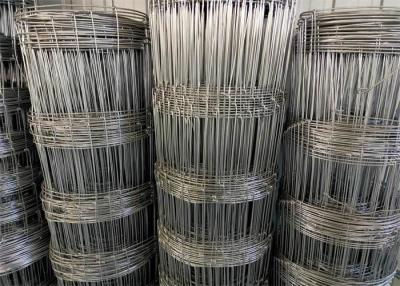 China Grassland Farm Galvanized Hinge Joint Wire Mesh 50m Roll High Tensile Strength zu verkaufen