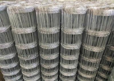 China Galvanized Cattle Sheep Horse Woven Hinge Joint Wire Mesh 4 Ft Height for sale