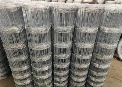 China Livestock Animal Hinge Joint Wire Mesh Hot Dipped Galvanized zu verkaufen