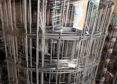 Cina 2 x 2 nell'anti ruggine di 30M x di 3Ft Galvanised Wire Mesh Wire Garden Fence Roll in vendita