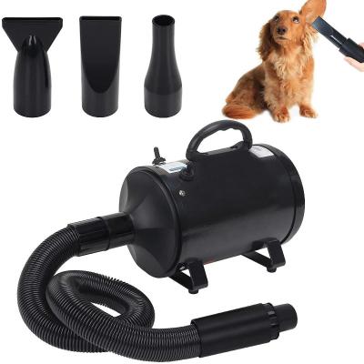 China Viable Automatic Cat Pet Dog Hair Grooming Heated Hot Force Fan Blow Dryer Machine For Sale for sale