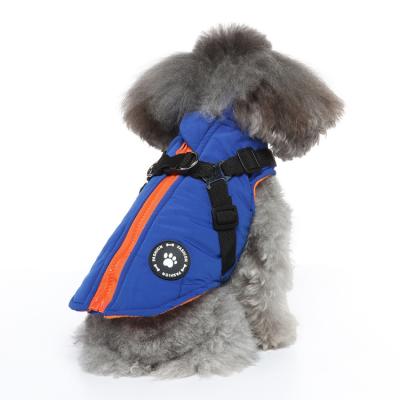 China Winter Sustainable Fashionable Zipper Fashion Harness Jacket Small Dog Clothes For Dogs for sale