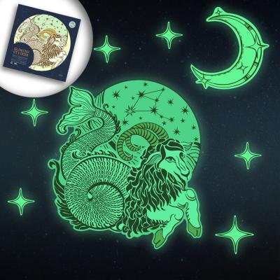 China WALL STICKER Funlife Constellation 12 Capricornus Glowing Wall Sticker Peel and Stick Luminous Sticker for Ceiling for sale