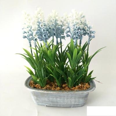 China High Quality Plastic Hot Sale Artificial Sycculent Potted Plant For Home Decoration for sale