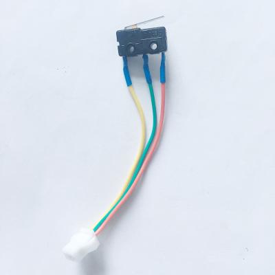 China Outdoor micro-switch for gas water heater for sale