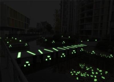 Cina Conchiglie luminose della conca per la decorazione del carro armato di pesce in vendita