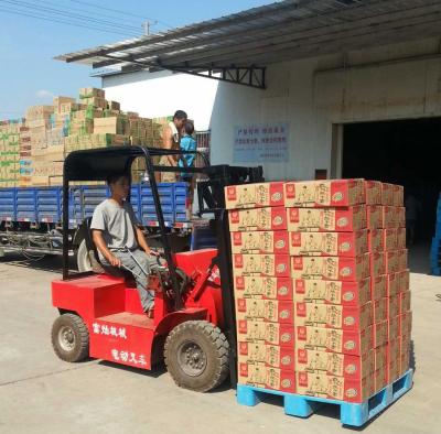 China Construction material stores mini electric forklift with advanced technology with China manufacturer for sale