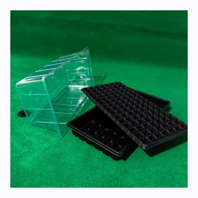 China Large Thickened Corrosion Resistance Seedling Tray, Vegetable Seed Plant Flat Trays With Transparent Heat Preservation Cover for sale