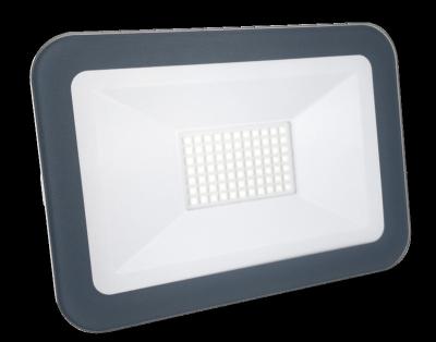 China LANDSCAPE rf exterior led light 30w rgb flood light for sale