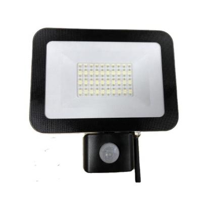 China High Quality 50W LANDSCAPE Led RGB Spotlights for sale