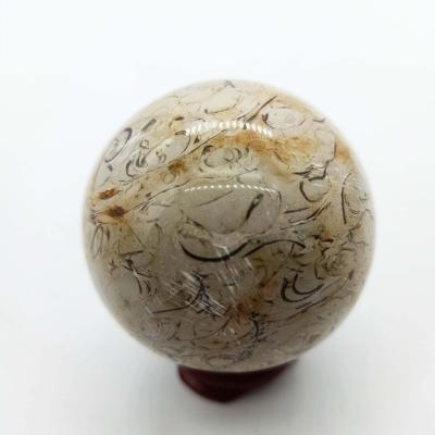 China China Wholesale Natural Polished Dinosaur Bone Crystal Sphere Healing Crystal Balls for sale