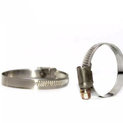 China Germany Industrial Equipment Worm S Type Conductive Hose Pipe Clamp For Gasoline Engine for sale