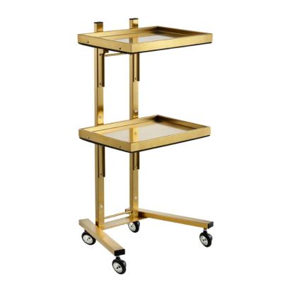 China Hot Selling Modern Store Stable Barber Salon Rolling Trolley Special Hospital Multi-Equipment Medical Salon Beauty Hairdresser for sale