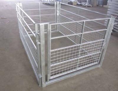 China Farms 1.97m* 0.97m Sheep Wire Mesh Fence Panel for Australia for sale