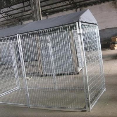 China Sustainable 4m*4m*1.8m Large Galvanized Wire Mesh Dog Kennel/Dog Run/Dog Cage for sale