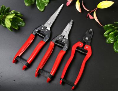 China Anti-Slip Handle Shears Fruit Picking Shears Garden Scissors for sale