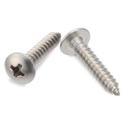 China Factory Price Self Tapping Pan Screw Stainless Steel Phillips Truss Head Self Tapping Screws for sale