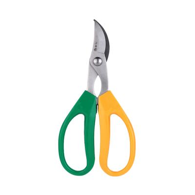 China Universal Cutting Yellow and Green Scissors Garden Handle Plant Shears Fruit Tree Shears for sale