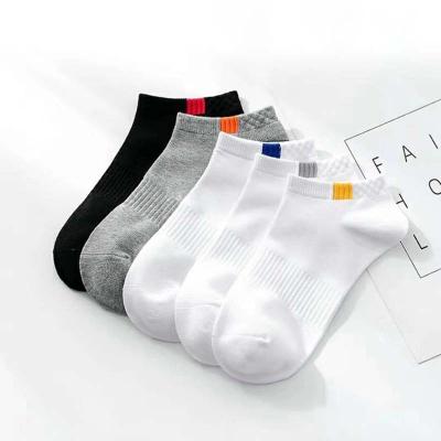 China Summer Cotton Man Short Socks Fashion Breathable Man Boat Socks Comfortable Casual Socks for sale