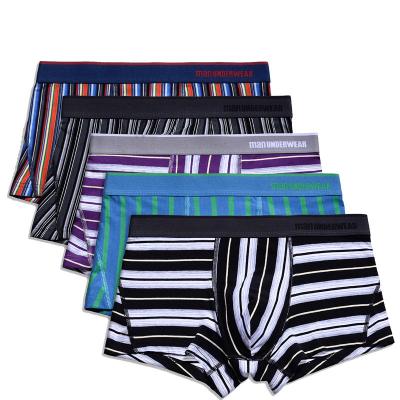 中国 Mid-Rise Cotton Mens Breathable Boxer Briefs Popular Anti-Bacterial Striped Trunks 販売のため