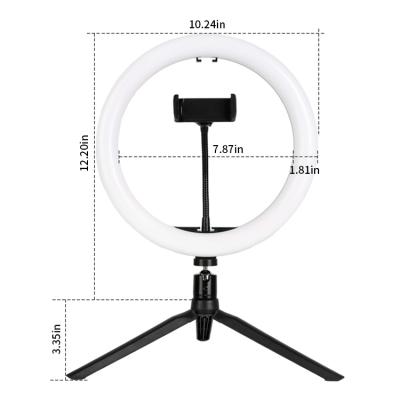 China Wholesale Photo Flexible Table Led Ring Light, RGB Photography Tiktok Selfie Ring Light With Tripod Stand 120pcs for sale