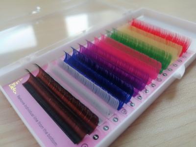 China Synthetic Colored Lash Extensions Rainbow Color Club Eyelash Extensions for sale