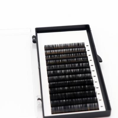 China Natural Individual Eyelash Extensions Faux Mink Eyelashes Extensions Cc D Curl for sale