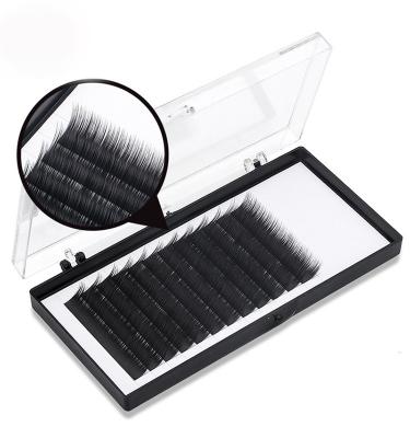 China Glossy Black Individual Permanent Eyelashes Silk And Mink Eyelash Extensions for sale