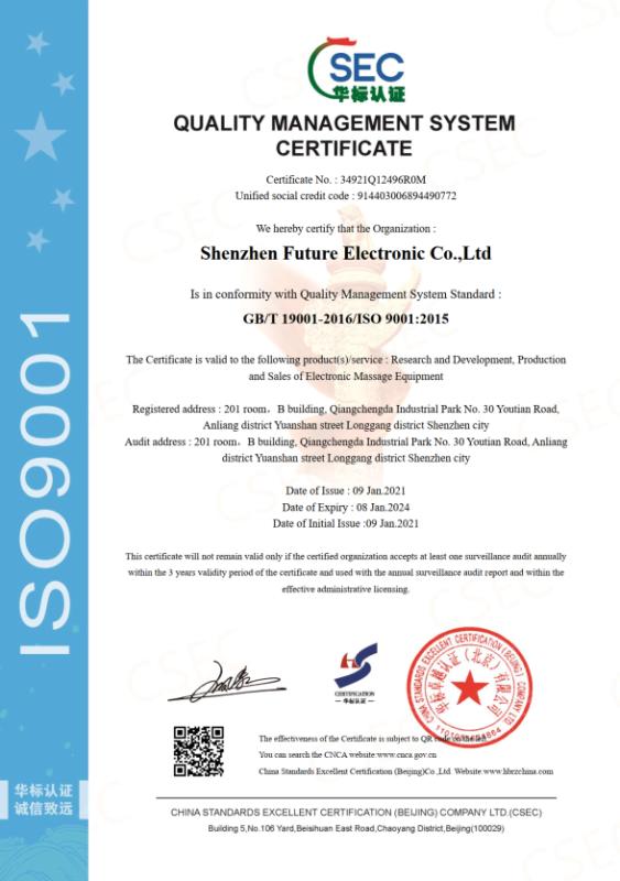 ISO9001 - Shenzhen Future Electronic Co., Ltd.