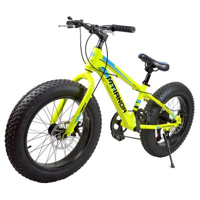 China TRAIL OEM 20 Inch Variable Speed ​​Snow Field Bikes Wholesale Price Bicicleta Bicycle For Adult for sale