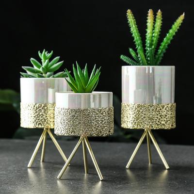 China Modern Nordic Gold Plated Indoor Simple Frame Vase Flower Pot Decor Wrought Iron Statistical Flower Pot Hydroponic Succulent Pot for sale