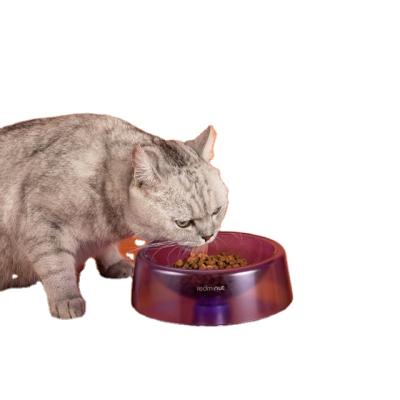 China Cat Dog Bowls Pet Feeder Simple Non-slip Viable With Raised Holder Protect Pet Neck for sale