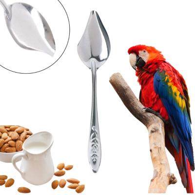 China Viable Parrot Feeding Spoon Stainless Steel Pet Baby Bird Milk Powder Water Feeding Spoons for sale