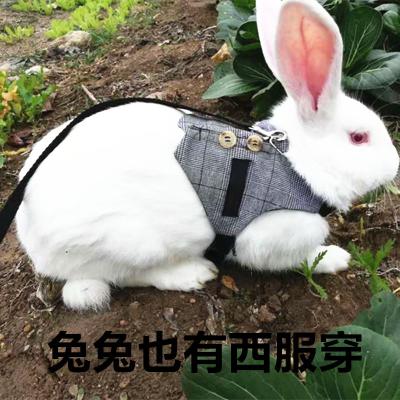 China Viable Bunny Pull Rope Costume Cat Rope Cat Rope Puppy Dress for sale