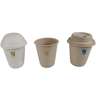 China Food Pack 8oz Disposable Paper Cups With Lids Whiten 100% Sugarcane Paper Pulp Biodegradable Waterproof Coffee Latte Maker for sale