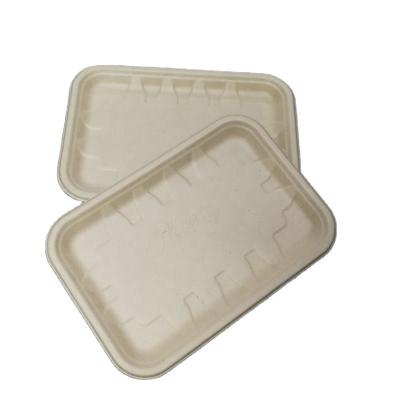 China Round Bagasse Disposable Products Sugar Cane Pulp Compostable Dinner Plates 100% Eco-Friendly Biodegradable Disposable Tableware for sale