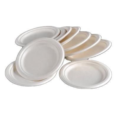 China Wholesale 100% Sugarcane Tableware Eco-Friendly Biodegradable Bagasse Disposable Pulp Compostable Dinner Dishes for sale