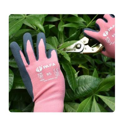 Cina Fiori e piante di nylon rosa di Sandy Latex Gloves For Cutting dell'elastam in vendita