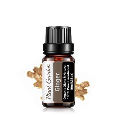 China Dark Circles wholesale 100% Undiluted pure belly drainage ginger essential oil for sale