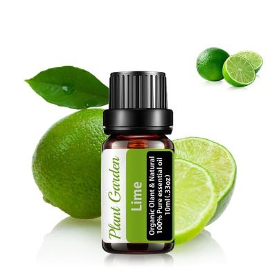 China Skin Revitalizer 100% pure lime essential oil  top quality facial essential oil supplier for sale