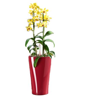 China Modern Large Hotel Vertical Tall Triangle Garden Self Watering Plastic Flower Pot for sale