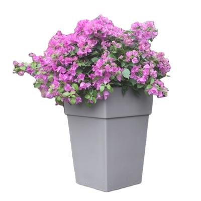 China 2021 Eco-friendly Customized Modern Design Colorful Plastic Pot Decoration Garden Flower Pot Holder For Outdoor for sale