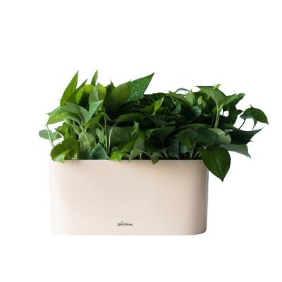 China Modern Self Watering Modena Windowsill Planter and Herb Garden for sale