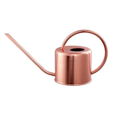 China Antique Watering Flowers 1200ml Stainless Steel Metal Watering Can for sale