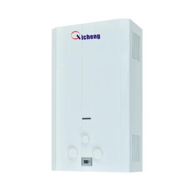 China Hotel Home Appliance 10 Liter Gas Water Heater Cheap Domestic Gas Water Heater for sale