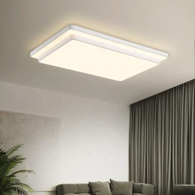 China Surface Mounted Ultra Light Simple Acrylic Modern Home Decor Bedroom Ceiling Lamp White LED Panel Ceiling Light for sale