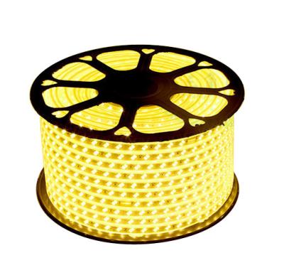 China 110v 220v SMD 5050 Eenkleurig RGB Led Strip Light 50m/roll 100m/roll Productgewicht kg 4 Te koop