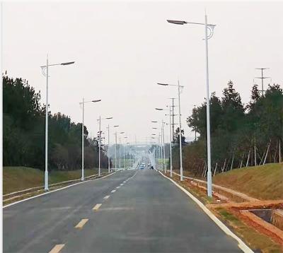 China Polvo de lámpara solar para calles de 3 a 12 metros de brazo único/doble para soluciones de iluminación exterior en venta