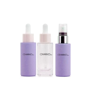 China 30ml 50ml 100ml Wholesale Cosmetic Empty Cream Glass Serum Lotion Pump Bottles Cosmetic Set for sale